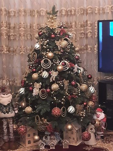 yolka islenmis: Yolka satilir zontik yolka deyilir yigilmir oyuncaqlarida yolkanin — 1