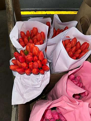 Букеты из живых цветов: Тюльпаны с луковицей Оптом | В розницу - Свежие тюльпаны с крупным — 11