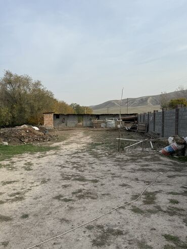 Продажа домов: Дом, 180 м², 6 комнат, Собственник, Косметический ремонт — 6