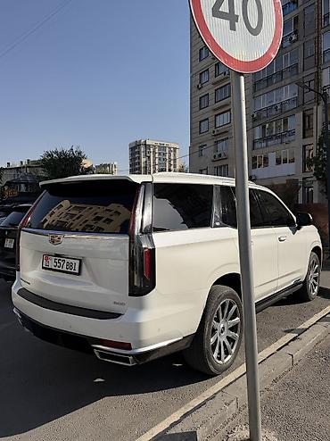 кадилак цена: Cadillac Escalade: 2021 г., 6.2 л, Автомат, Бензин, Седан — 3