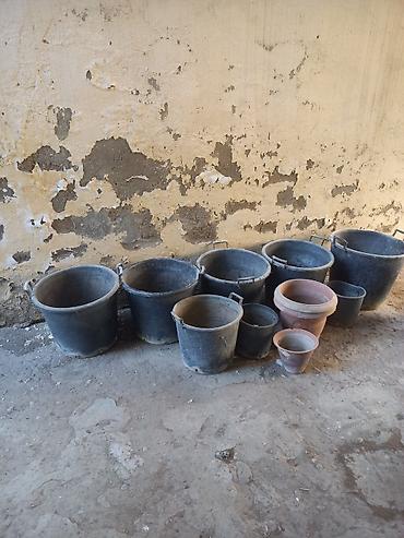 bezek bitkileri: 50 litr tutumlu Plastik dibçəklər satilir. Elastik materialdandi — 1