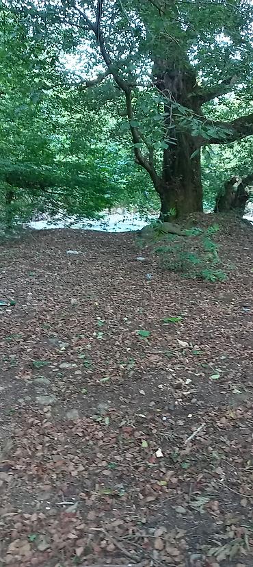 Həyət evləri və villaların satışı: 3 otaqlı, 100 kv. m, Orta təmir — 17