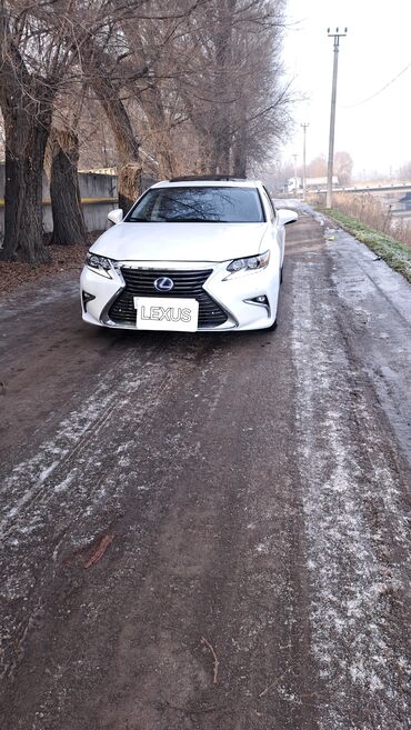 Lexus: Lexus ES: 2018 г., 2.5 л, Гибрид