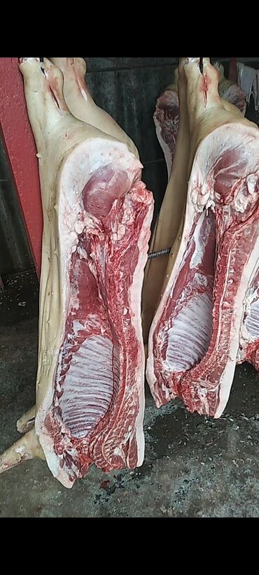 гравий бишкек: В продаже имеется всегда свежее мясо свинины. Забой производится под