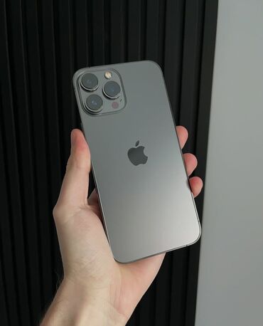 Apple iPhone: IPhone 13 Pro Max, 256 GB, Graphite, Face ID