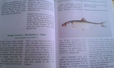 Ensiklopediyalar: Müxtəlif kitablar satılır. Biri 40 manat. "Nərəkimilər - dinozavrların -da lalafo.az — 14 Ensiklopediyalar: Müxtəlif kitablar satılır. Biri 40 manat. "Nərəkimilər - dinozavrların — 14