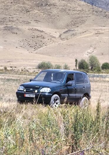 электромобиль neta: Chevrolet Niva: 2004 г., 1.7 л, Механика, Бензин, Внедорожник