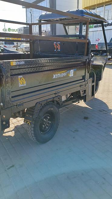 Легкий грузовой транспорт: Легкий грузовик — 4