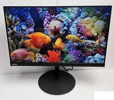 polovni monitori 144hz: IPS 24" Lenovo ThinkVision T24i-10 DP / HDMI Lenovo ThinkVision