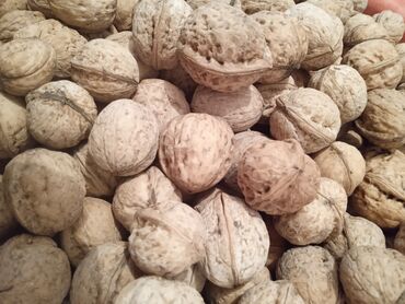 уборка дома токмок: Продаём орехи белые, хорошие