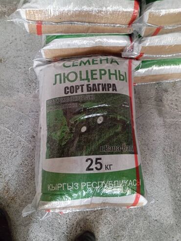 Кормовые растения: Семена кормовых растений: Люцерна — 7