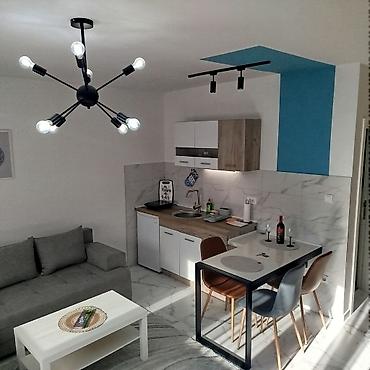 selidbe kuca: Golden star Studio apartman- Planirate savršen beg u prirodu, ali ne — 8