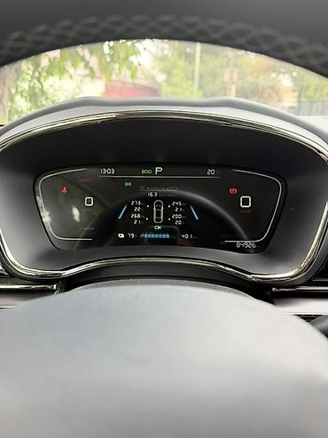 BYD: BYD E9: 2022 г., Электромобиль, Седан — 7