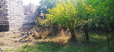 Bağ evlərinin satışı: Mingəçevir, 300 kv. m, 4 otaqlı, Hovuzsuz, Qaz, İşıq, Su — 4