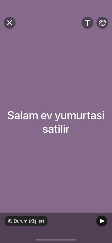 Şirniyyat məhsulları: Ev yumurtası satılır. Təzə və keyfiyyətli ev yumurtaları əldə etmək