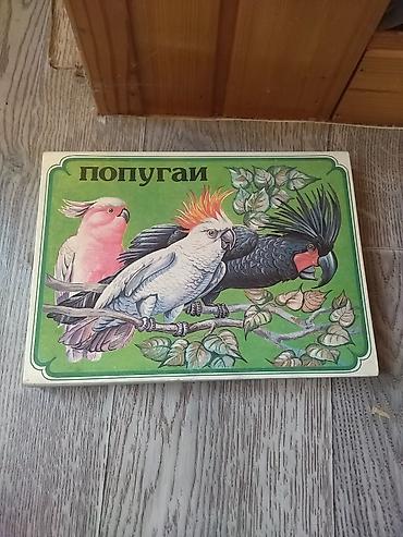 nerd taxta oyunu: Məhsul: “Попугаи” tematik stolüstü uşaq domino dəsti (papuqaylar) — 2