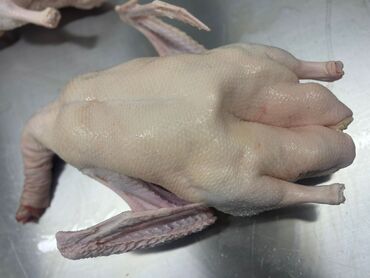 пластиковые контейнеры с крышкой купить бишкек: Каз :, 6 кг, Өзү алып кетүү