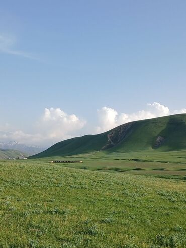 Сельхоз предприятия: Продаю Кошара, 50 соток, Действующий, Без оборудования, Электричество — 12