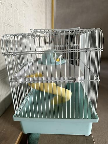 3d сетка: Клетка для хомяка/малых грызунов Dayang Pet Products - Компактная — 1