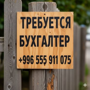 вожатые в лагерь вакансии 2024: Бухгалтер