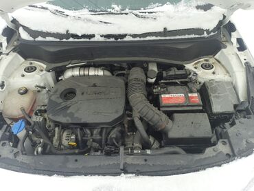 Kia: Kia Seltos: 2020 г., Автомат, Бензин, Кроссовер — 11