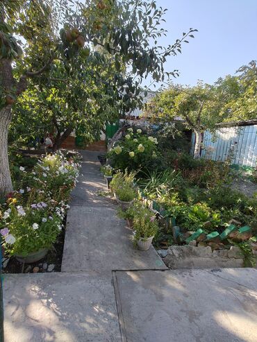 Продажа домов: Дом, 76 м², 4 комнаты, Собственник, Старый ремонт at lalafo.kg — 11 Продажа домов: Дом, 76 м², 4 комнаты, Собственник, Старый ремонт — 11