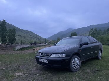 Nissan: Nissan Primera: 1997 г., 1.6 л, Механика, Газ