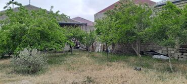 Həyət evləri və villaların satışı: Salam sexsi evimizi satib tecili kocuruk 8 sotda 5 otaqli kamunallari — 5