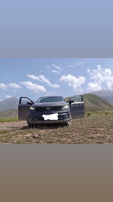 кызыл кия кыз: Радиатор торлору Kia 2021 г., Колдонулган, Оригинал — 1
