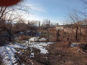 кел кел: 8 соток, Курулуш, Сатып алуу-сатуу келишими, Кызыл китеп — 2