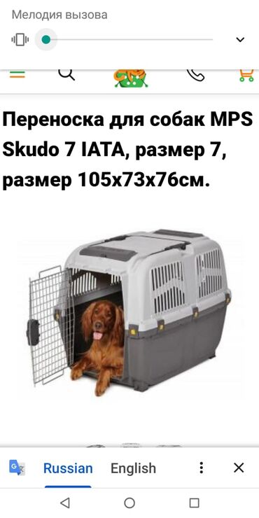 дрессировка собак баку в Азербайджан | Зоотовары: Продаётся клетка для перевозки крупных собак.Цена 450 манат. Эльман