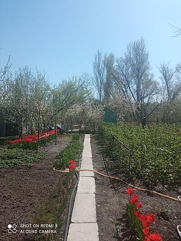 Продажа коттеджей и домов: Продаётся дом, 80 кв. м. 6 комнат, кирпичный, тёплый. Хозпостройки — 21