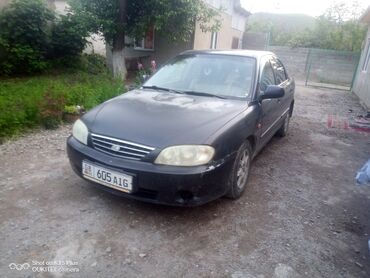 кия сепхия: Kia Spectra: 2007 г., 1.6 л, Механика, Бензин, Седан