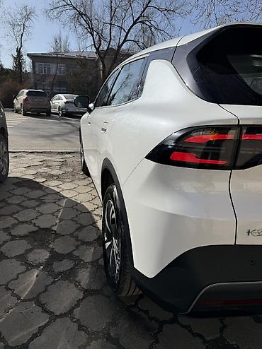 Dongfeng: Dongfeng : 2026 г., 0.1 л, Автомат, Электромобиль, Кроссовер — 6