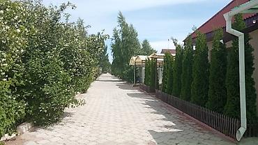 караен: Коттедж, Фонтан, Кара-Ой (Долинка) — 2