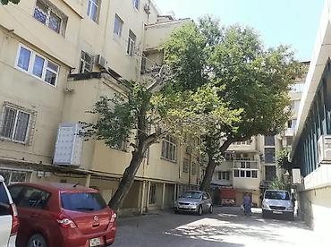 samir eliyev: ✨ Nəsimi Rayonunda, Dilarə Əliyeva Küçəsində 55 m² 2 Otaqlı Təmirli — 2