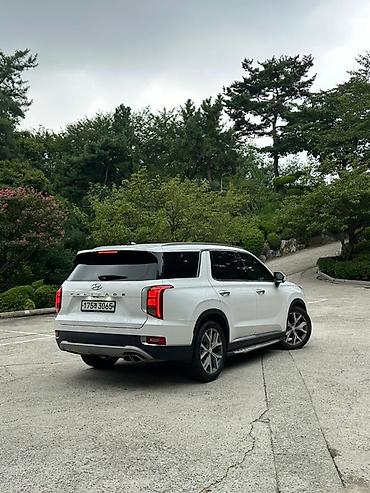 hyundai xcient: Hyundai Palisade: 2019 г., 2.2 л, Автомат, Дизель, Кроссовер — 4