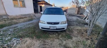 Honda: Honda Odyssey: 1997 г., 2.3 л, Автомат, Бензин