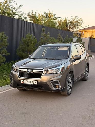 форестер полик: Subaru Forester: 2019 г., 2.5 л, Вариатор, Бензин, Кроссовер — 1