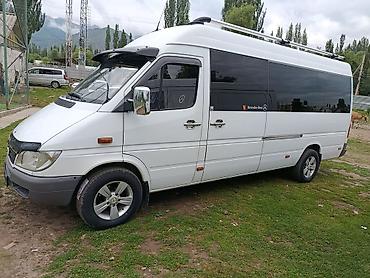 авто пакраски: Mercedes-Benz Sprinter — пассажирский микроавтобус повышенной — 4