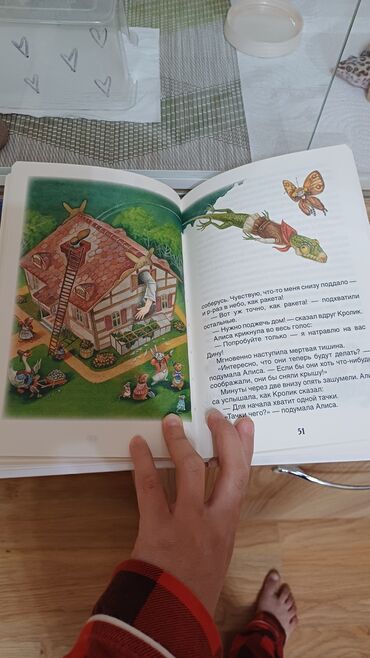 электронная книга купить бишкек: Книга "Приключения Алисы в стране чудес". Внеклассное чтение. ✅️