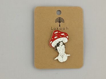 Pin, condition - Perfect