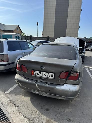 ниссан сильвия с15: Nissan Primera: 2000 г., 2 л, Механика, Бензин, Седан — 5
