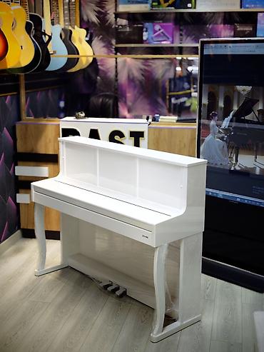 elektro gitarlar: Piano, Rəqəmsal, Yeni, Ünvandan götürmə — 4