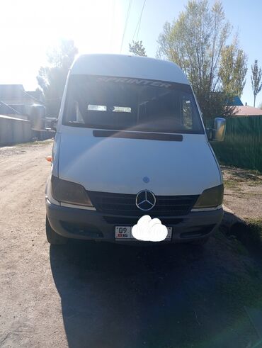 Mercedes-Benz: Mercedes-Benz Спринтер: 2000 г., 2.9 л, Механика, Дизель