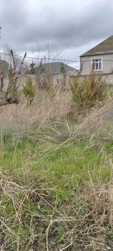 Otbiçənlər və trimmerlər: Benzin Otbiçən Yeni, Ödənişli çatdırılma