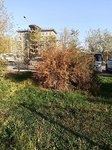 Продажа офисов: Продажа офисов 1300 м², Без ремонта, Без мебели, Многоэтажное здание, 1 этаж — 5