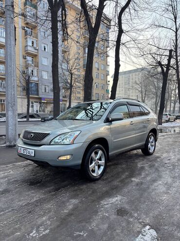 Lexus: Lexus RX: 2004 г., 3.3 л, Автомат, Газ, Кроссовер