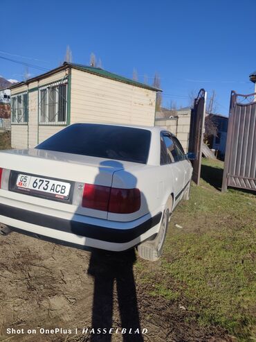 Audi: Audi 100: 1993 г., 2 л, Механика, Бензин, Седан