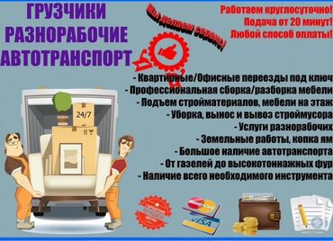 программист delphi: Жүк ташуучу. 6 жылдан ашык тажрыйба
